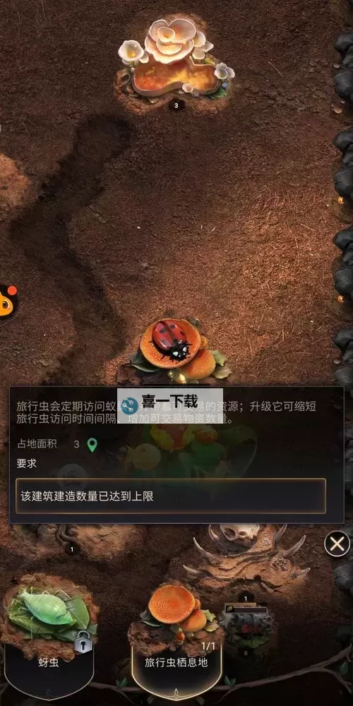 免费小小蚁国礼包 小小蚁国礼包在线领图1