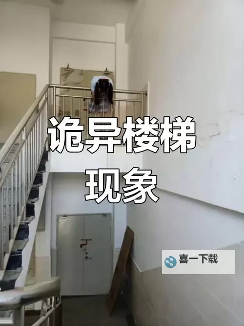 楼梯野战在线看:精彩战斗场面一网打尽图1