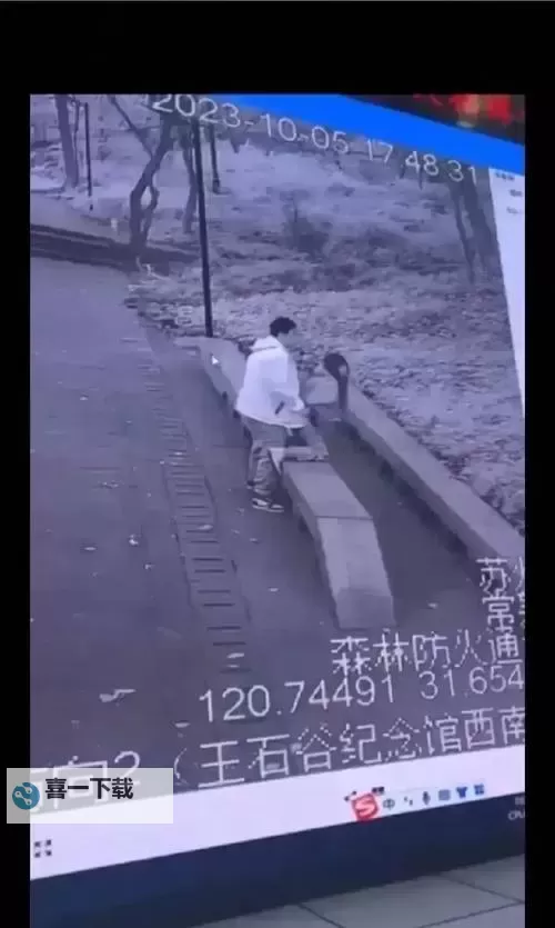 男女打扑克免费视频网站推荐：畅享高清娱乐体验图1