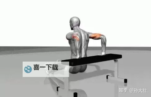 在公交车上做运动,轻松开启健康新生活图1