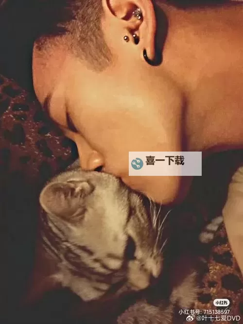 只宠你一夜：一段难忘的奇幻之旅图1