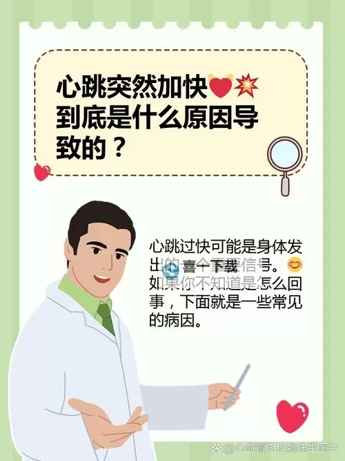 做的时候为什么一加速就会叫：原因解析与应对方法图1