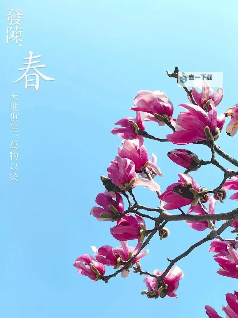 《暗黑破坏神4》第二赛季详细开荒升级步骤 第二赛季怎么升级图1