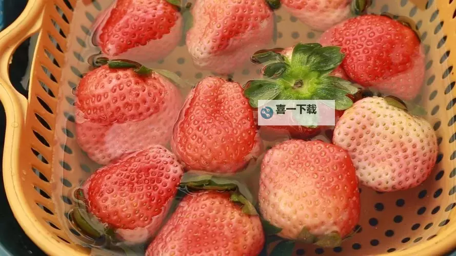 畅享精彩瞬间：草莓视频啊啊啊啊啊带你嗨翻天图1