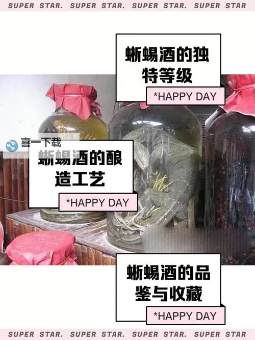 《龙之信条2》蜥蜴酒获取方法 蜥蜴酒怎么获得图1