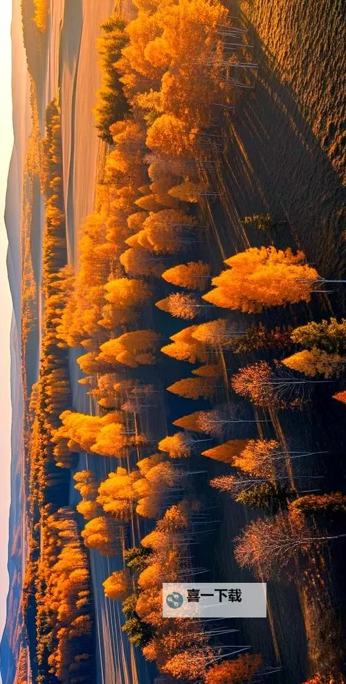 《无畏契约》爪刀评价 瓦罗兰特爪刀皮肤排行图1