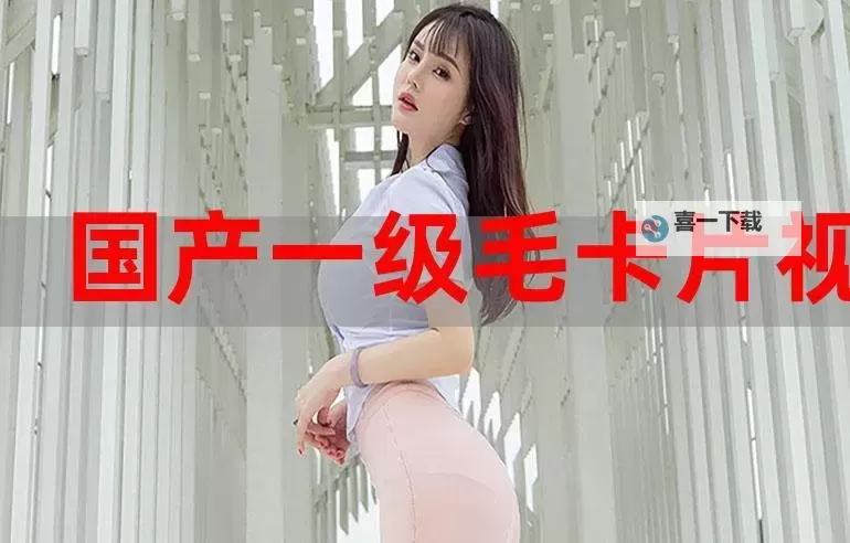 黄特黄一级毛卡片：收藏与欣赏指南图1