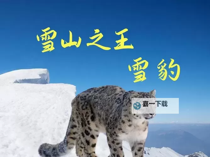 《出发吧麦芬》山王雪豹技能及蜕变形态一览图1