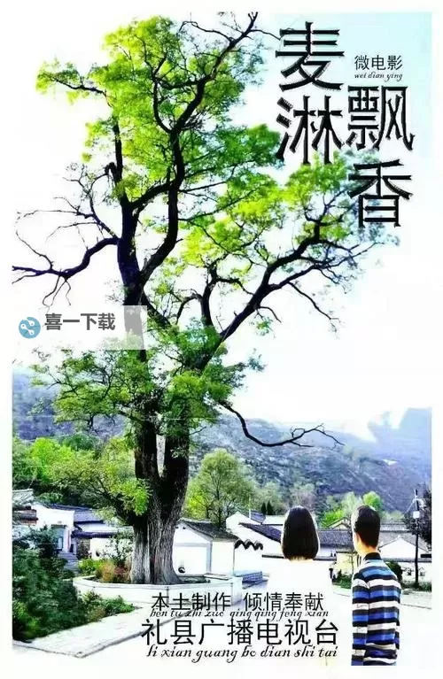 陇南市礼县黄色的电影免费资源全面揭秘图1