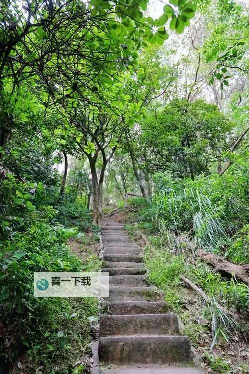 证监会吴清重磅发声：落实资本市场改革新举措图1