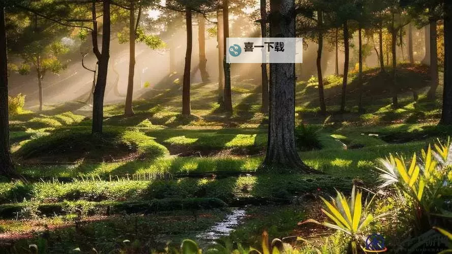 《最新视频仙踪林欢迎您：探索神秘森林的奇幻之旅》图1