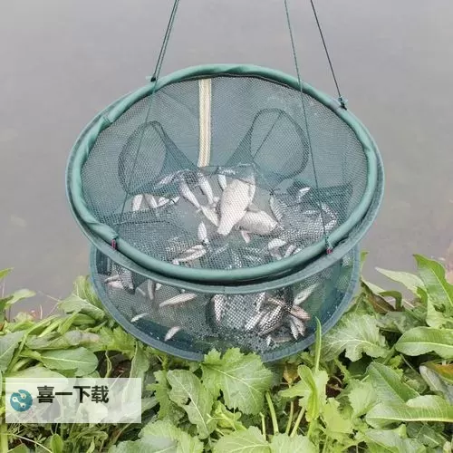 《怪物猎人世界》鱼塘网鱼技巧 怎么用网抓鱼图1