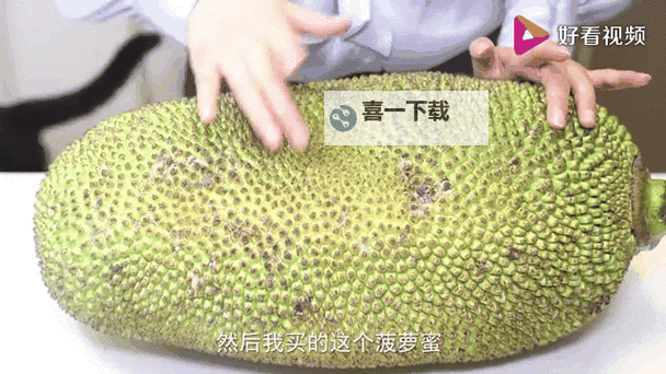 畅享高清体验——尽在菠萝蜜视频在线观看一区图1