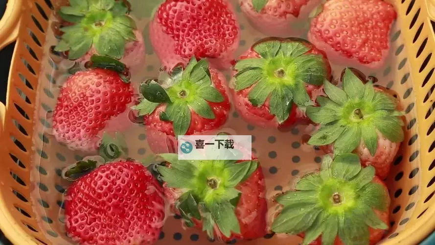 在线观看草莓视频在线观看,畅享甜蜜时光图1