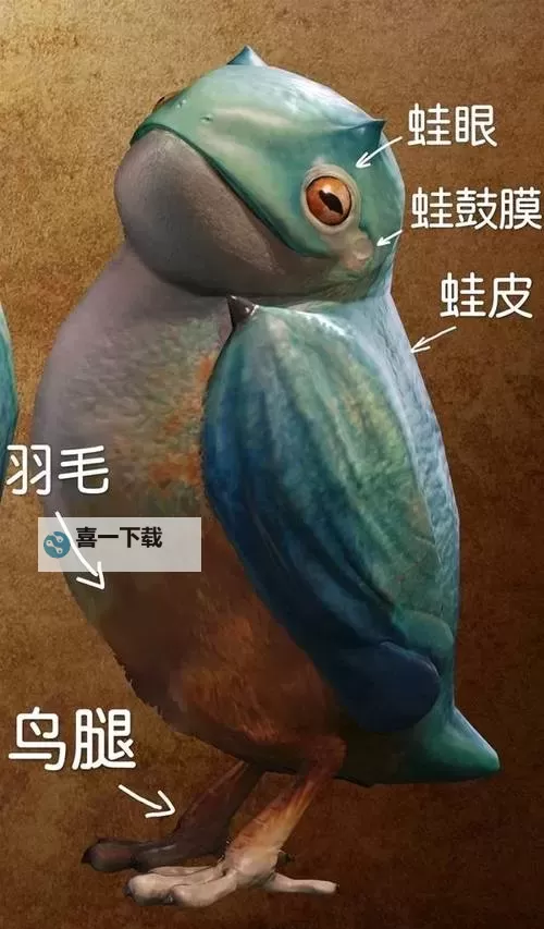 《怪物猎人荒野》全环境生物一览 环境生物有哪些图1