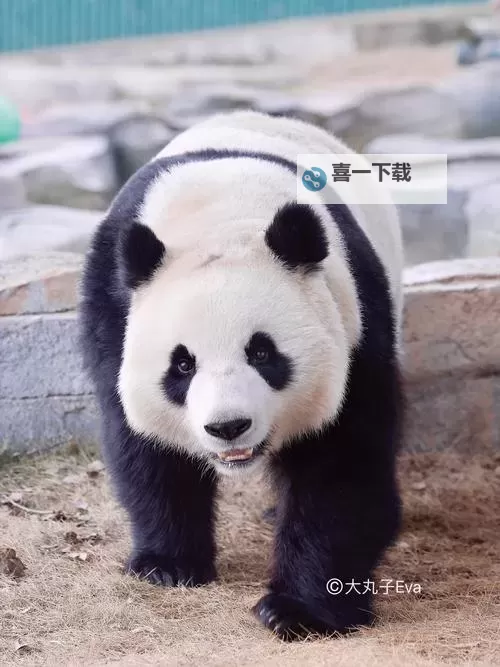 《狙击精英抵抗》第八关收集地图分享 第八关物品位置一览图1