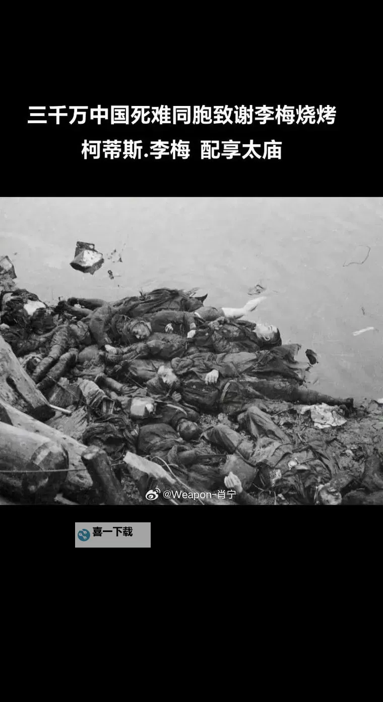 真相揭晓：真正的人类已经死了，世界将迎来怎样的未来图1