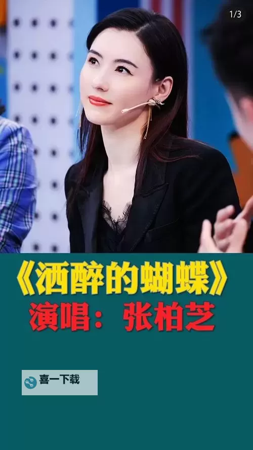 张柏芝酒醉的蝴蝶MV：一场梦幻与迷离的视觉盛宴图1