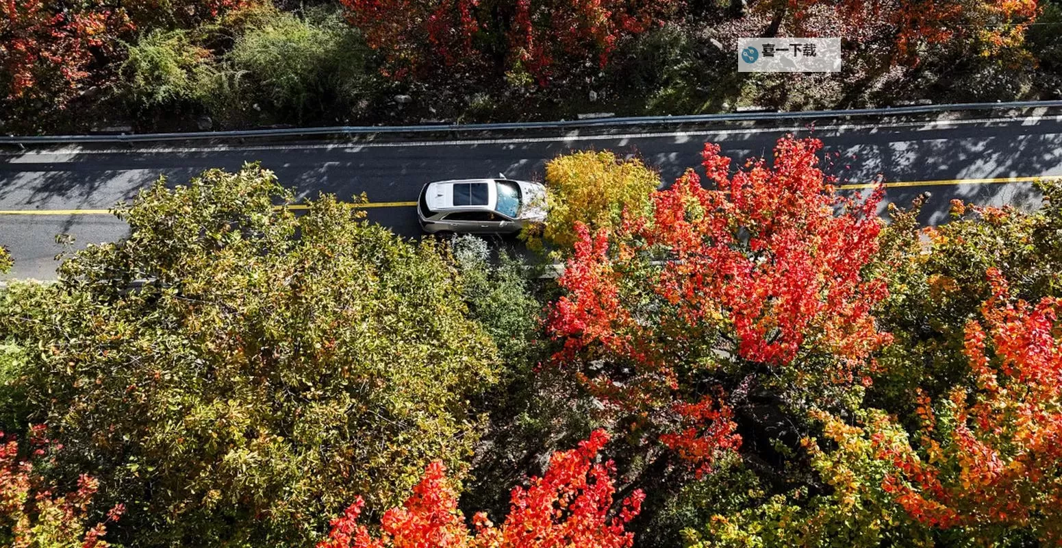 全面解析青花直播7886tv的功能：畅享高清在线观看视频体验图1