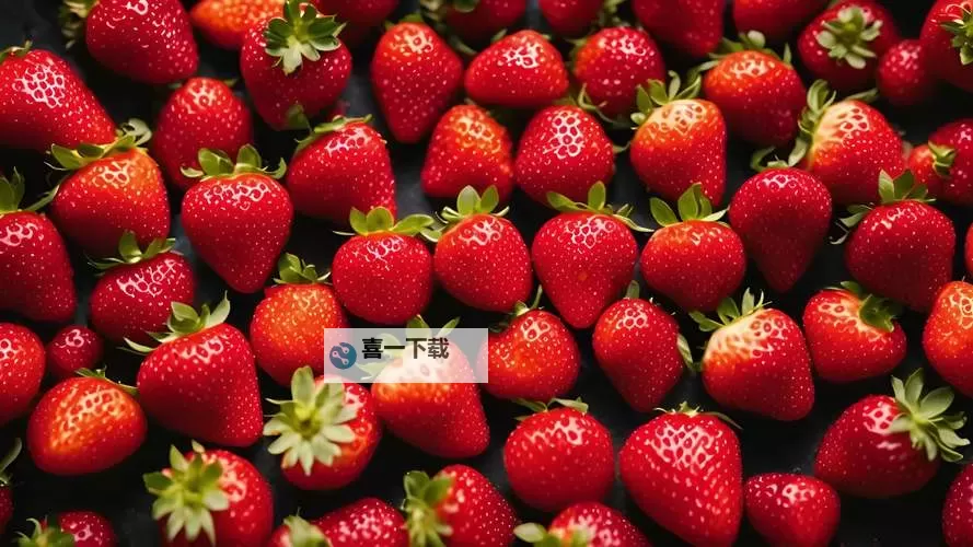 草莓视频色王：探索最新精彩内容的必看指南图1