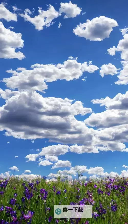 黑暗之魂2 DLC钢铁之王的王冠三个BOSS打法心得图1