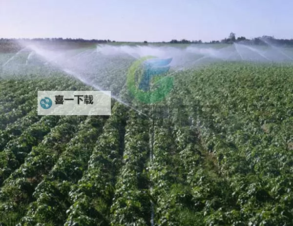 提升作物产量的关键利器:优质jing液灌溉系统全面解析图1