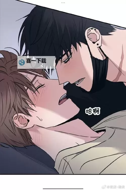 男寝宝贝金银花免费阅读：温馨青春的甜蜜时光图1