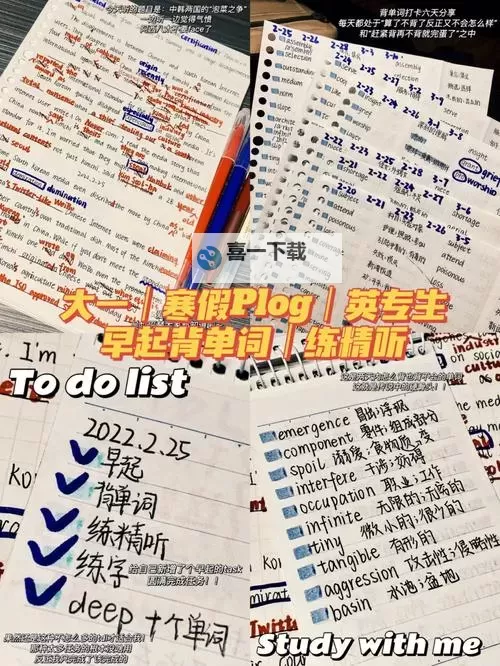 坐在学霸的鸡上背单词：双楠作文中的青春记忆图1