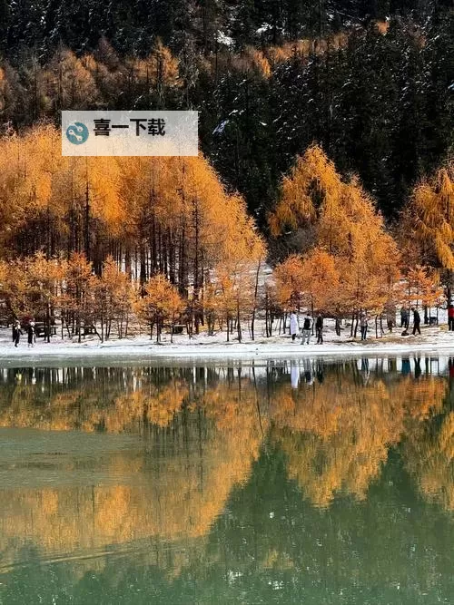 《阿凡达潘多拉边境》全支线任务完成方法图2