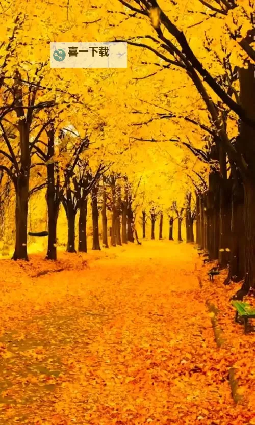 《勇者斗恶龙英雄2》小金币获得方法及兑换道具一览 小金币怎么获得图1