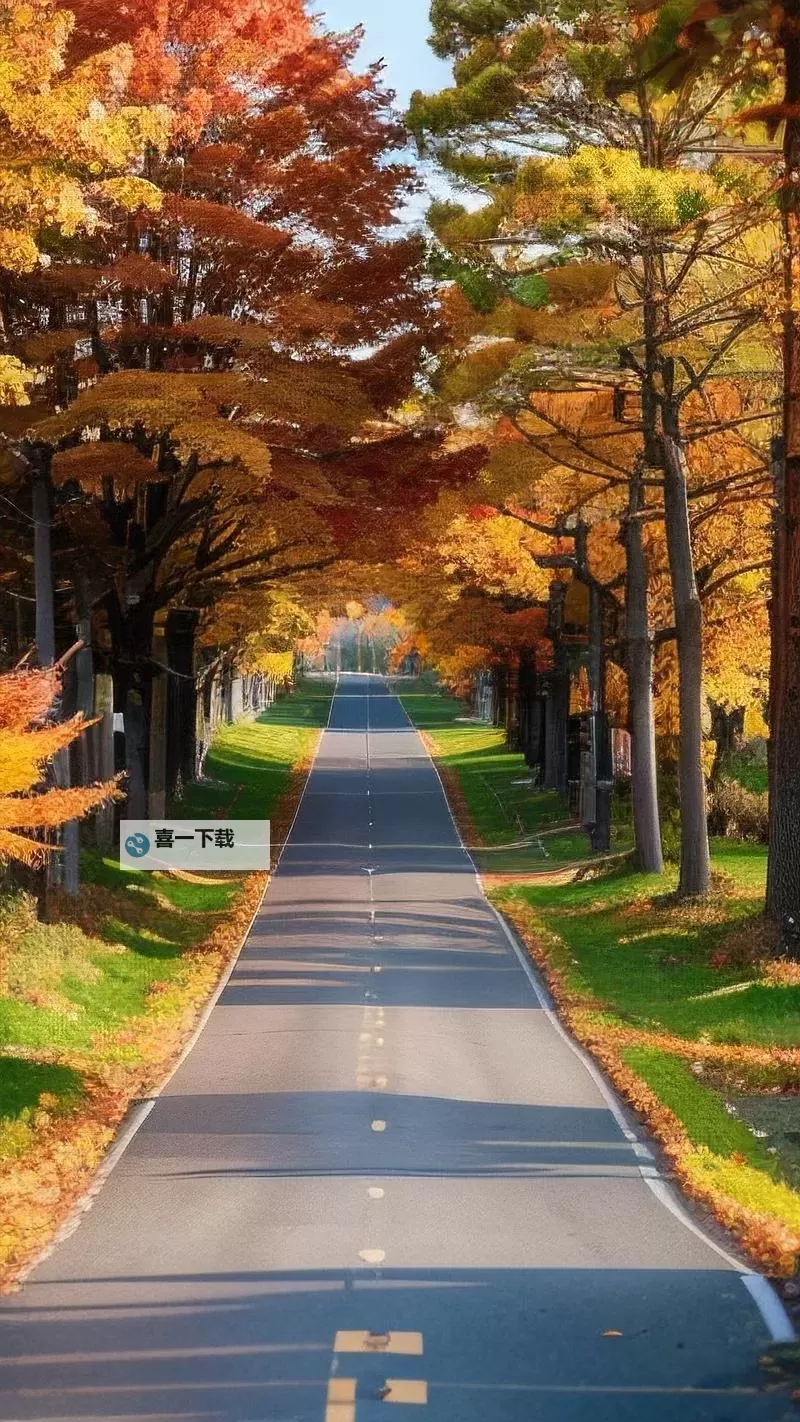 《勇者斗恶龙英雄2》小金币获得方法及兑换道具一览 小金币怎么获得图2