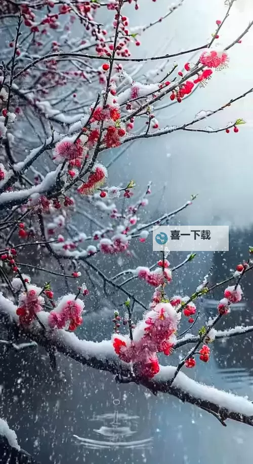 《阿凡达潘多拉边境》全支线任务完成方法图1