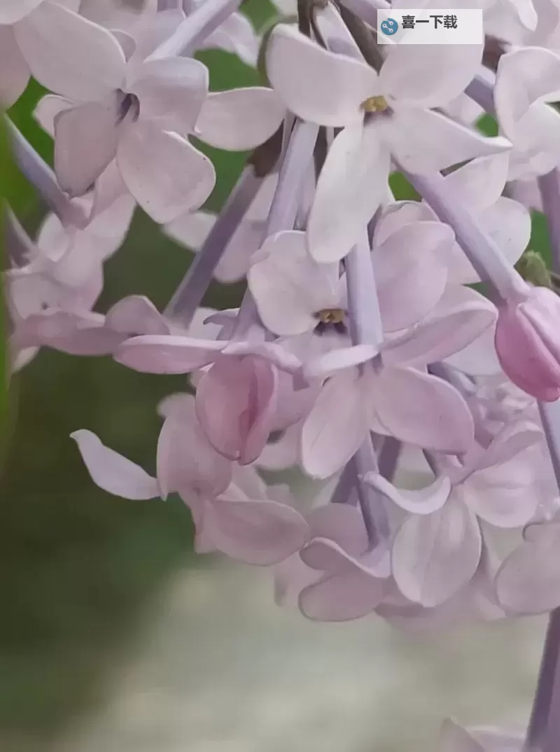 丁香五月综合：潮流达人必看的精选合集图1