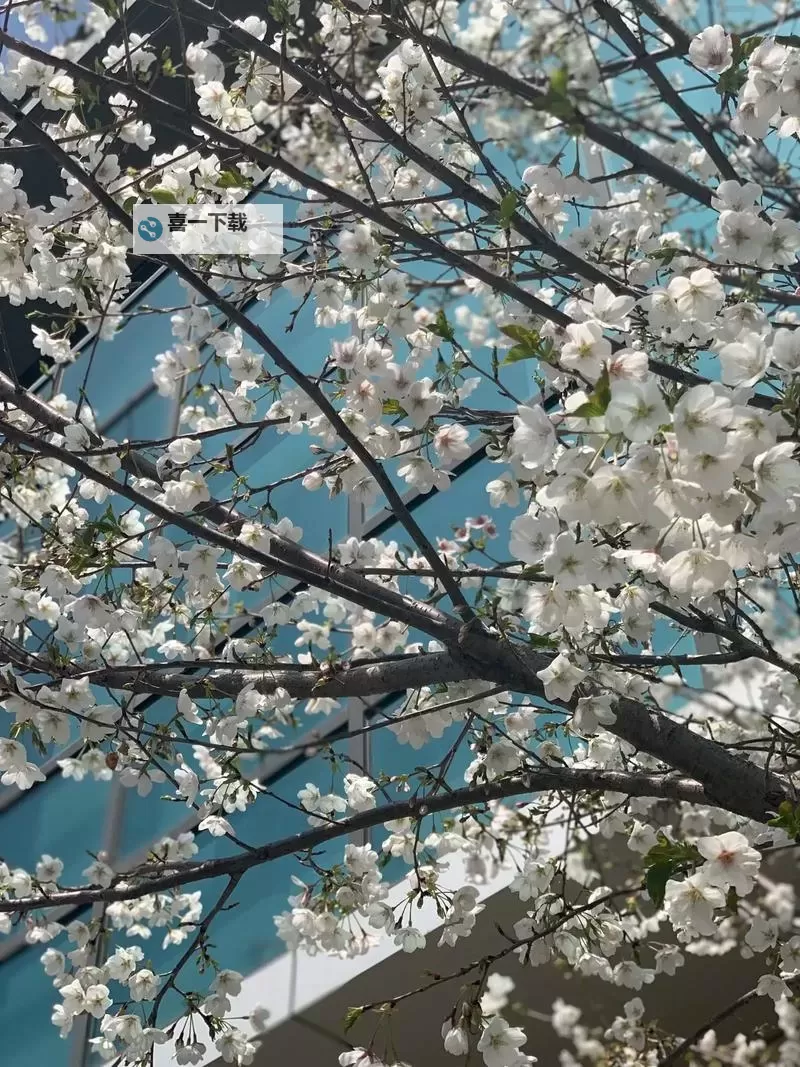 《潜行者2切尔诺贝利之心》通关流程图文攻略图1