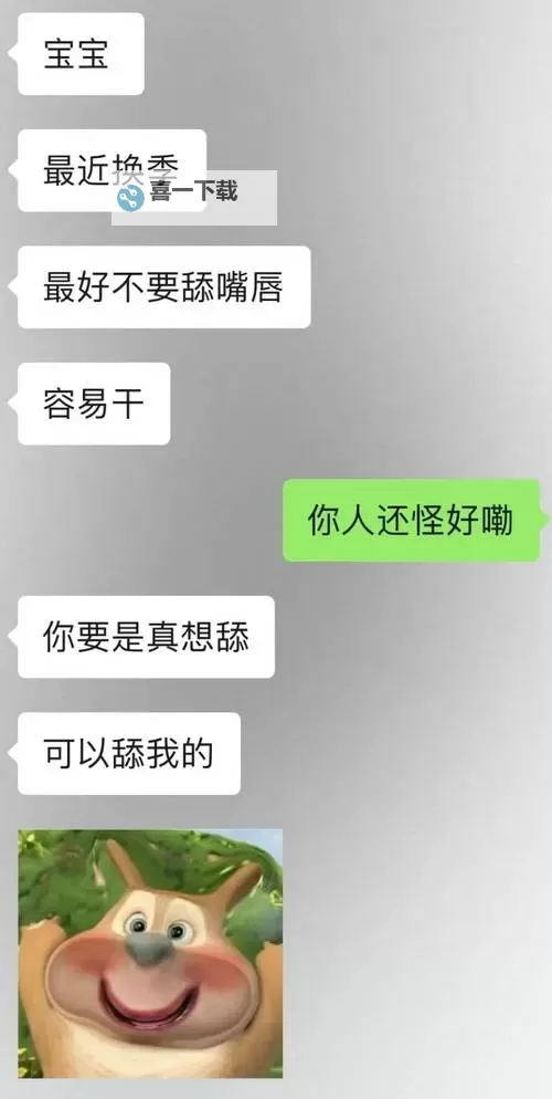 最大尺度一对一视频聊天：打造沉浸式商务与教育沟通新体验图1