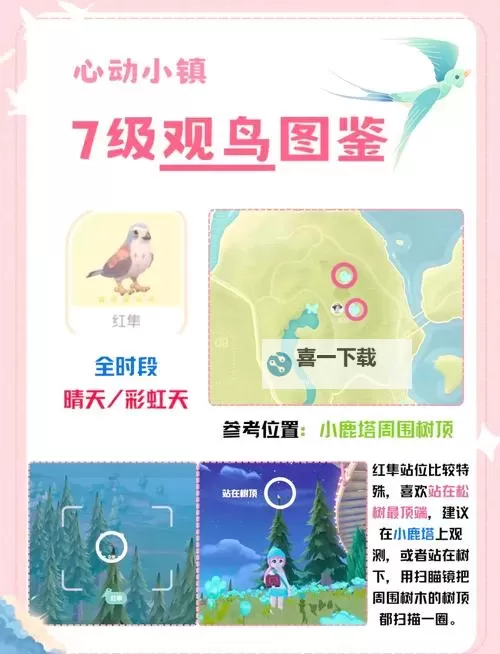 《心动小镇》观鸟玩法介绍 心动小镇怎么拍鸟图1