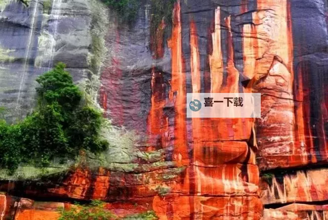 赤水论坛网 复耕流于形式：记忆在表象间的回潮图1