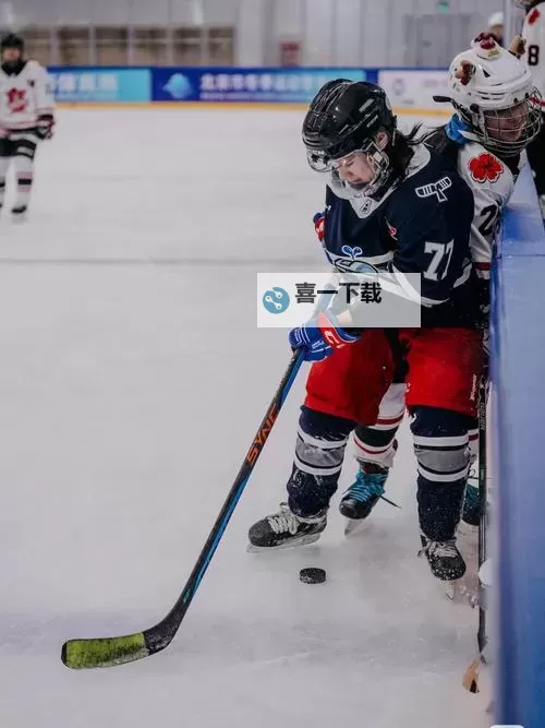 酷炫冰球电脑版下载 最全酷炫冰球电脑版攻略图1