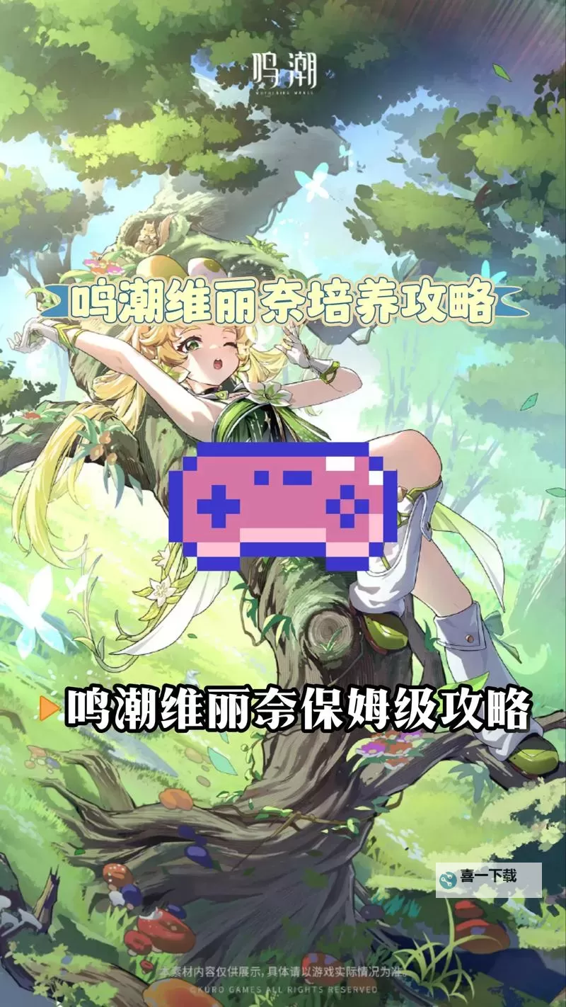 《鸣潮》维里奈养成一图流 维里奈怎么培养图2